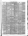 Carlisle Express and Examiner Saturday 12 August 1876 Page 3