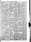 Carlisle Express and Examiner Saturday 15 January 1881 Page 3