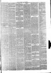 Carlisle Express and Examiner Saturday 22 January 1881 Page 5