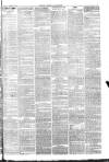 Carlisle Express and Examiner Saturday 05 February 1881 Page 3