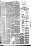 Carlisle Express and Examiner Saturday 12 February 1881 Page 7
