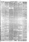 Carlisle Express and Examiner Saturday 02 April 1881 Page 3