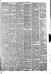 Carlisle Express and Examiner Saturday 11 June 1881 Page 5