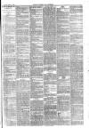 Carlisle Express and Examiner Saturday 04 March 1882 Page 3