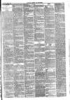 Carlisle Express and Examiner Saturday 08 April 1882 Page 3