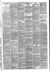 Carlisle Express and Examiner Saturday 11 November 1882 Page 3