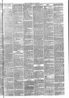 Carlisle Express and Examiner Saturday 18 November 1882 Page 3