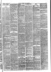 Carlisle Express and Examiner Saturday 25 November 1882 Page 3