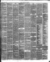 Carlisle Express and Examiner Saturday 13 January 1894 Page 5