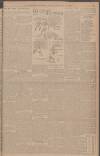 Scottish Referee Monday 29 October 1906 Page 3