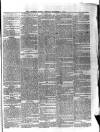 Longford Journal Saturday 08 November 1873 Page 3