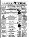 Longford Journal Saturday 06 May 1876 Page 1