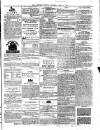 Longford Journal Saturday 06 May 1876 Page 3