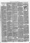 Longford Journal Saturday 18 March 1899 Page 3
