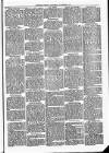 Longford Journal Saturday 02 November 1901 Page 7