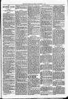 Longford Journal Saturday 09 November 1901 Page 3