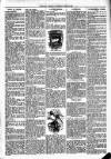 Longford Journal Saturday 08 June 1907 Page 7