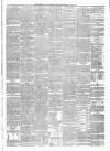 North Star and Farmers' Chronicle Thursday 09 May 1895 Page 3