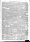 North Star and Farmers' Chronicle Thursday 20 June 1895 Page 3