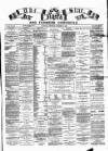 North Star and Farmers' Chronicle Thursday 19 December 1895 Page 1