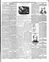 North Star and Farmers' Chronicle Thursday 13 August 1903 Page 5