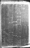 Boston Guardian Friday 16 January 1880 Page 3