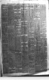 Boston Guardian Friday 13 February 1880 Page 3