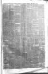 Boston Guardian Friday 05 March 1880 Page 3