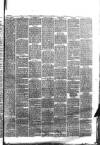 Boston Guardian Friday 08 October 1880 Page 3