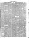 Boston Guardian Saturday 12 March 1881 Page 5