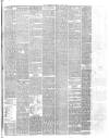 Boston Guardian Saturday 01 June 1889 Page 3