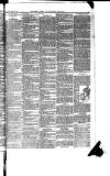 Boston Guardian Saturday 12 February 1898 Page 11