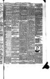 Boston Guardian Saturday 26 February 1898 Page 5