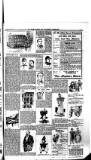 Boston Guardian Saturday 05 March 1898 Page 3