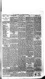 Boston Guardian Saturday 05 March 1898 Page 7