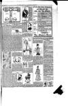 Boston Guardian Saturday 12 March 1898 Page 3