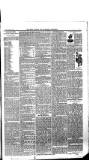 Boston Guardian Saturday 19 March 1898 Page 7