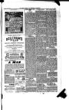 Boston Guardian Saturday 23 April 1898 Page 11