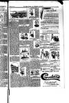 Boston Guardian Saturday 21 May 1898 Page 3