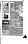 Boston Guardian Saturday 21 May 1898 Page 11