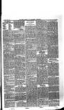 Boston Guardian Saturday 11 June 1898 Page 7