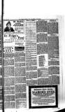 Boston Guardian Saturday 11 June 1898 Page 11