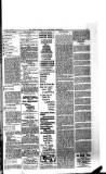 Boston Guardian Saturday 11 June 1898 Page 15