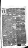Boston Guardian Saturday 09 July 1898 Page 7