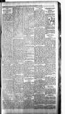 Boston Guardian Saturday 20 January 1917 Page 9