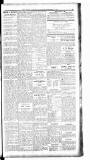 Boston Guardian Saturday 17 November 1917 Page 7