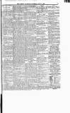 Boston Guardian Saturday 06 July 1918 Page 11