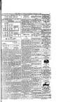 Boston Guardian Saturday 25 January 1919 Page 11