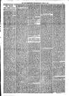 Montgomeryshire Echo Saturday 12 April 1890 Page 5