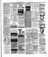 Montgomeryshire Echo Saturday 17 January 1891 Page 3